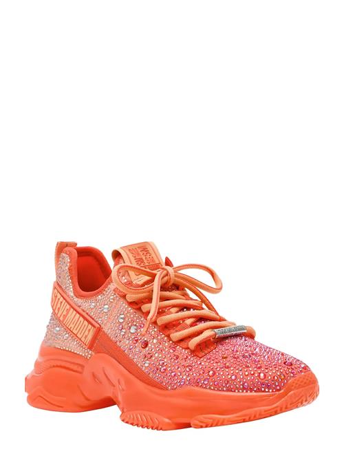 Mistica Steve Madden Coral