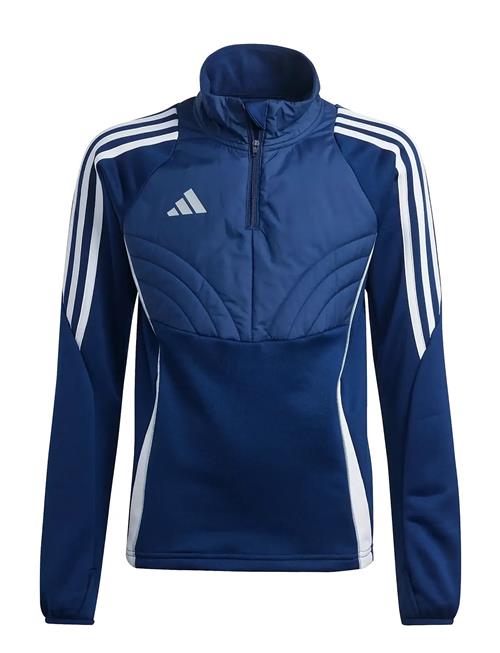 Tiro24 Wintopy Adidas Performance Navy