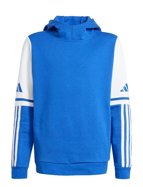 Sq25 Sw Hood Y Adidas Performance Blue