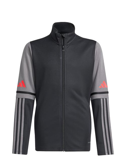 Sq25 Tr Jkt Y Adidas Performance Black