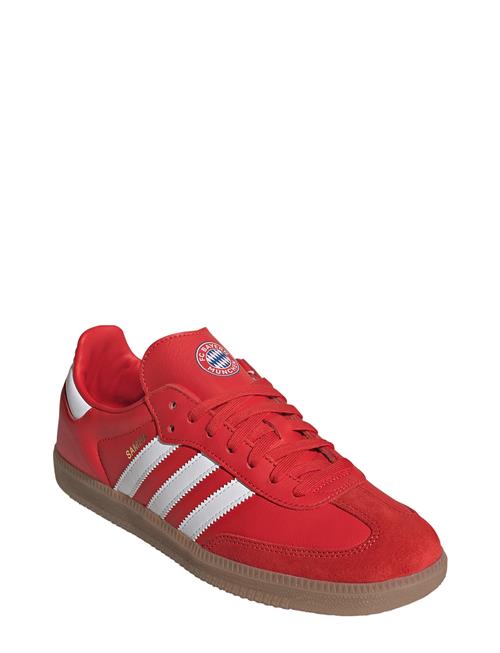 Samba Licensed Adidas Performance Red
