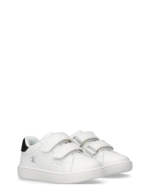 Kids Low Velcro Sneaker Calvin Klein White