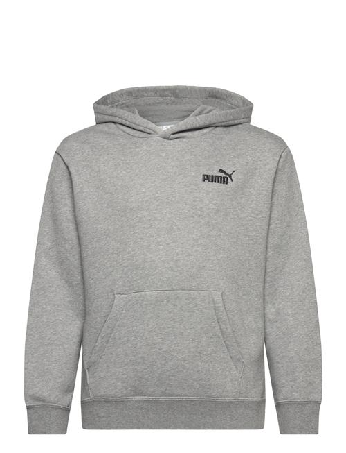 Ess Small No. 1 Logo Relaxed Hoodie Fl B PUMA Grey