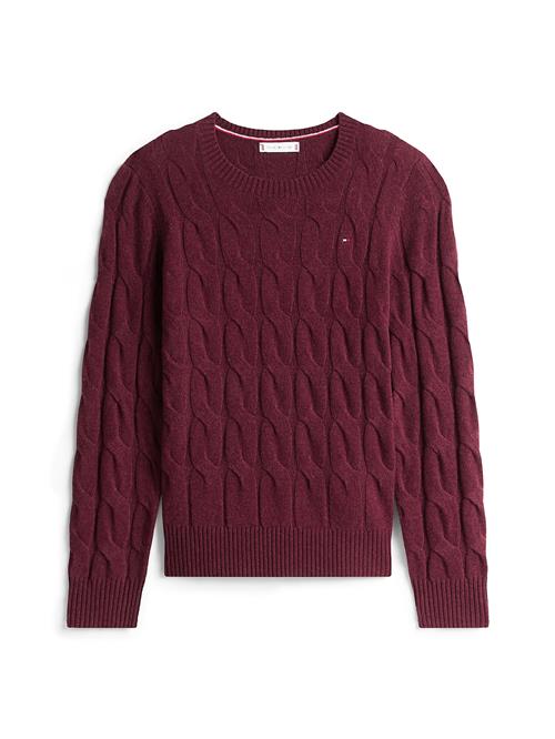 TOMMY HILFIGER Pullover  navy / rød / burgunder / hvid