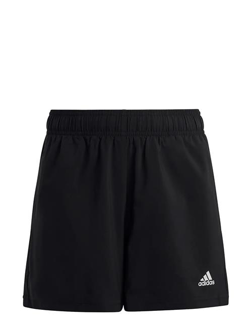 U Pl Chelsea Adidas Sportswear Black