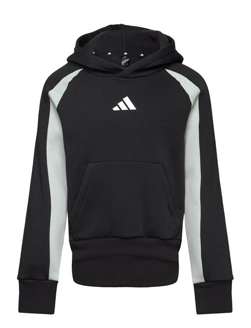 Se J Cb Fl Hd Adidas Sportswear Black ved Booztlet