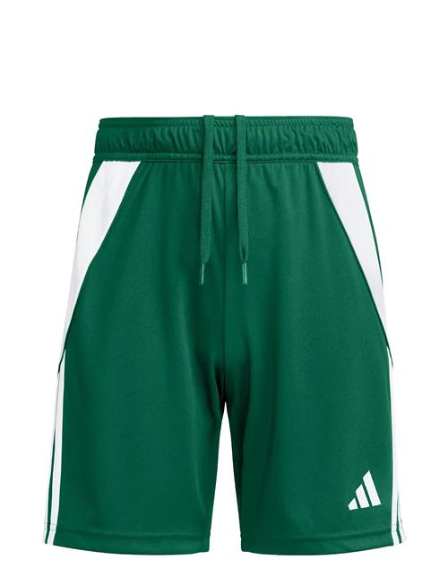 Tiro24 Sho Y Adidas Performance Green