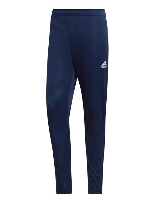 Ent22 Tr Pnt Adidas Performance Blue