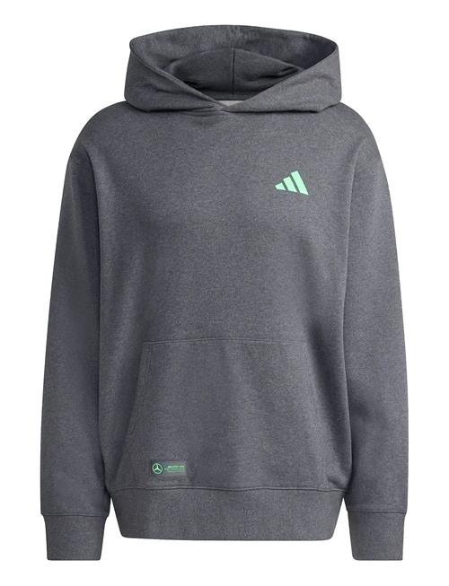 Mer Ps Hood M Adidas Performance Grey
