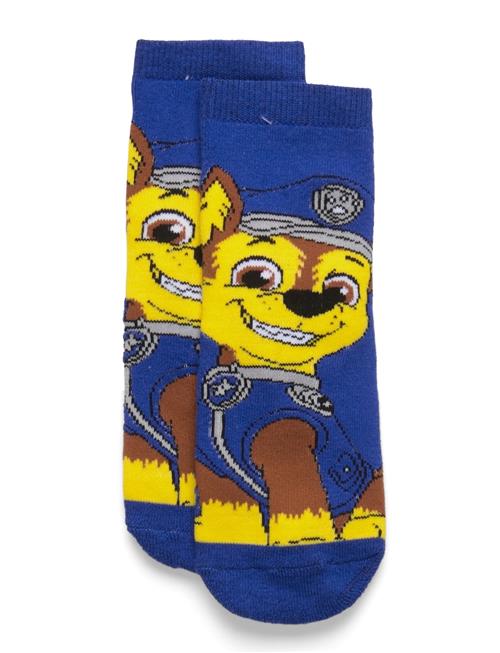 Socks Paw Patrol Blue