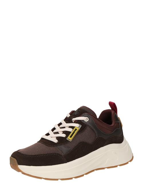 SALAMANDER Sneaker low  mørkebrun / burgunder