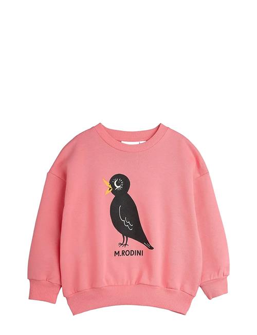 Blackbird Sp Sweatshirt Mini Rodini Pink