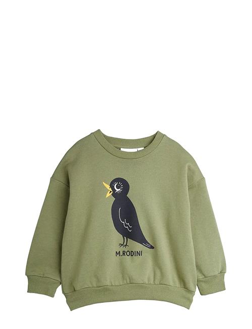 Blackbird Sp Sweatshirt Mini Rodini Green