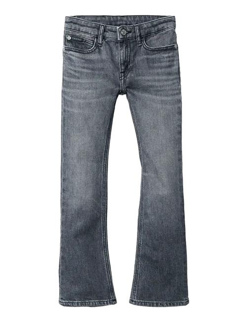 Mr Flare Mid Grey St Calvin Klein Blue