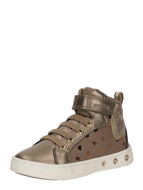 GEOX Sneakers 'SKYLIN'  mørkebeige / bronze / guld