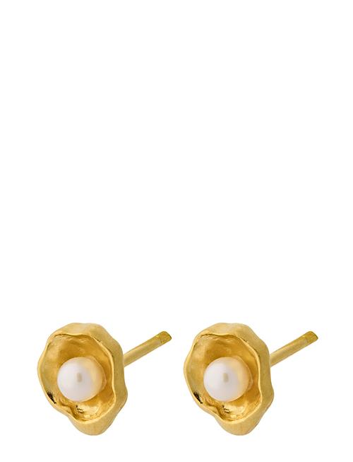 Hidden Pearl Earsticks Pernille Corydon Gold