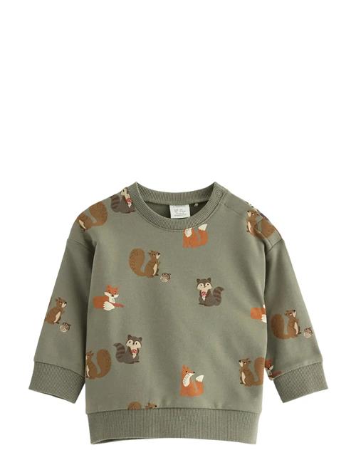 Sweatshirt Autumn Forrest Lindex Green