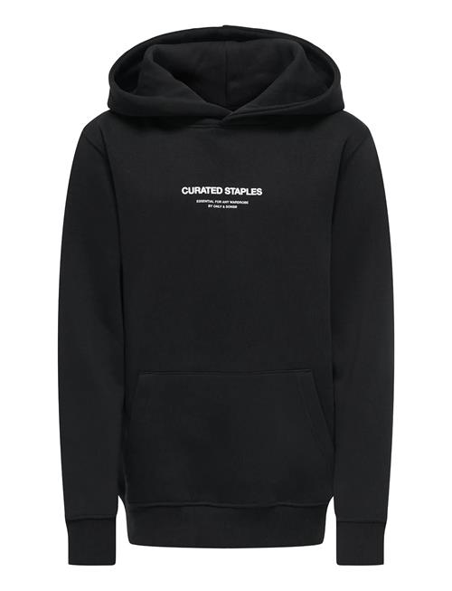 Osjcurated Reg Hoodie Sweat Vd ONLY & SONS Black