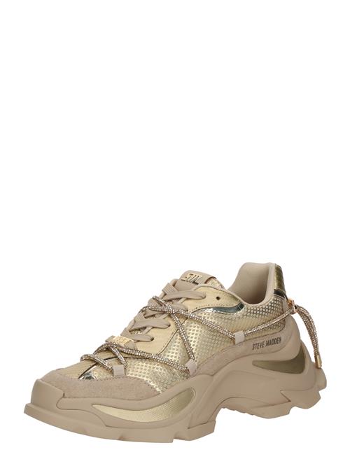 STEVE MADDEN Sneaker low 'Z Nation'  mørkebeige / guld