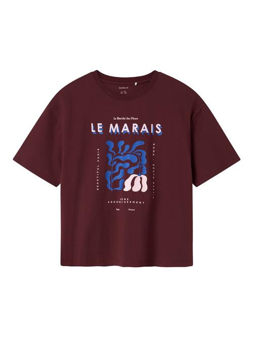 NAME IT T-shirt Orid Sassafras