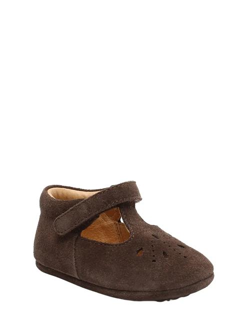 Bisgaard Bloom Bisgaard Brown