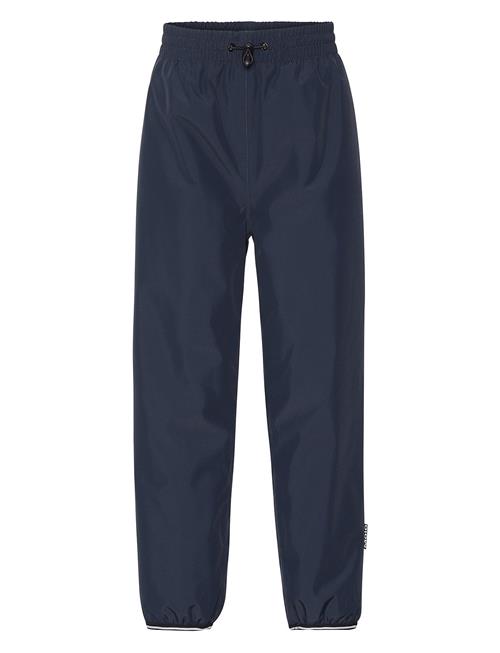 Wild Molo Blue