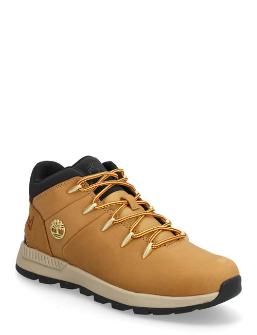 Mid Lace Up Sneaker Timberland Beige