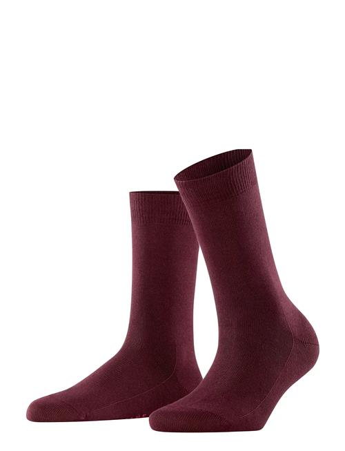 Family Everyday Casual Falke Women Burgundy