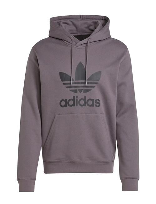 Trefoil Hoody Adidas Originals Purple