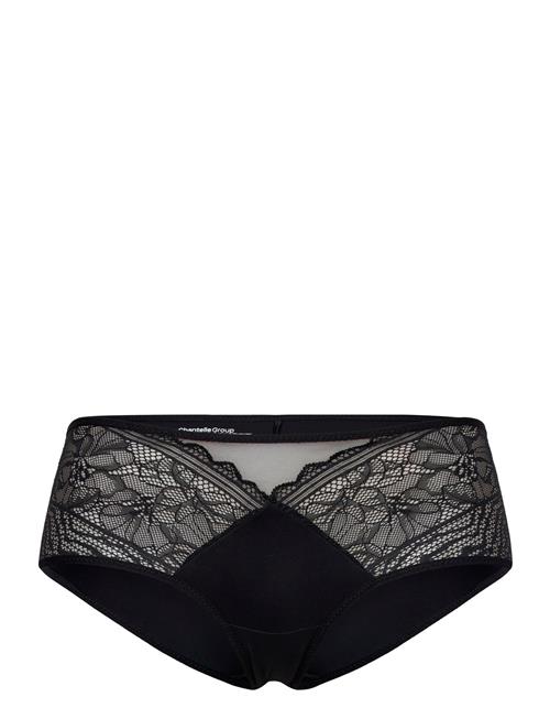 Floral Touch Covering Shorty CHANTELLE Black