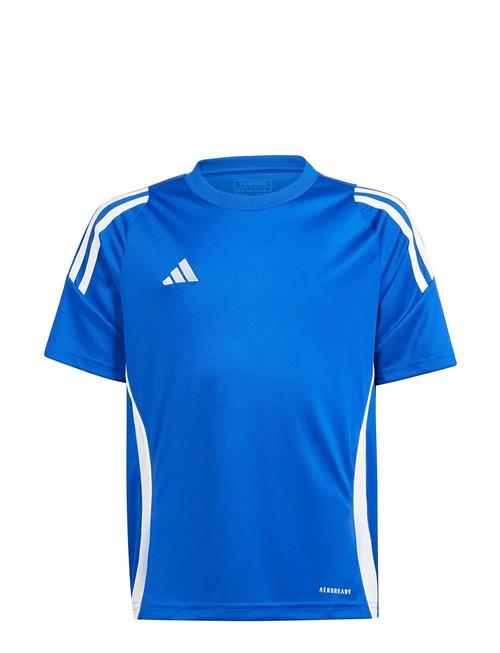 Tiro24 Jsyy Adidas Performance Blue