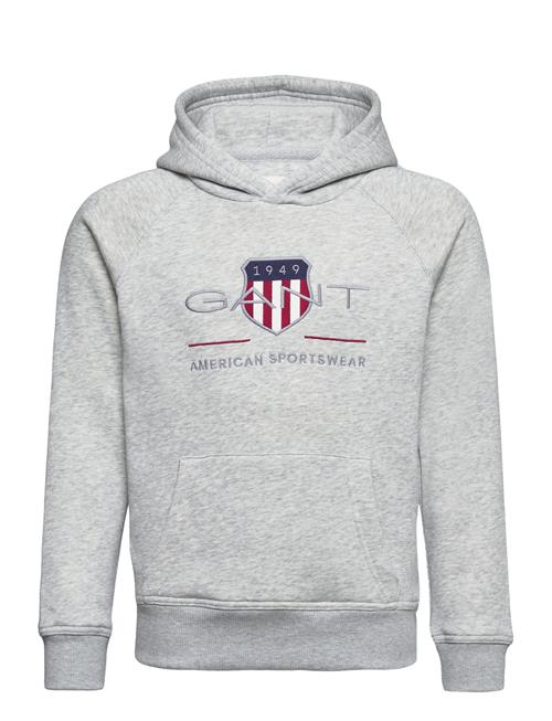Archive Shield Hoodie GANT Grey
