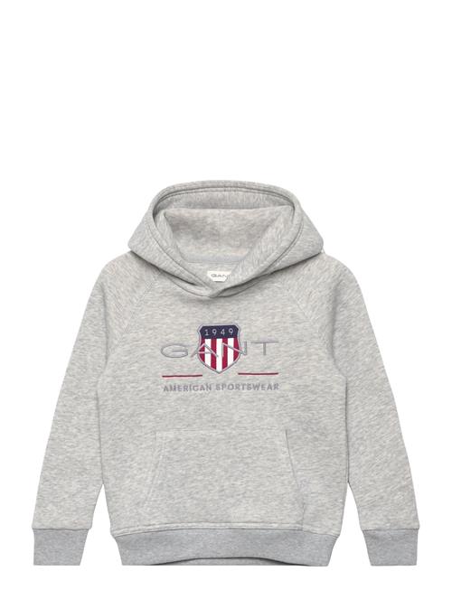 Archive Shield Raglan Hoodie GANT Patterned