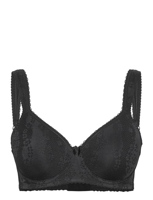 Adorable Shape Wire Bra Padded Cups Swegmark Black