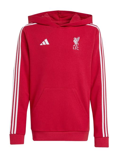 Lfc Kids Hd Adidas Performance Red