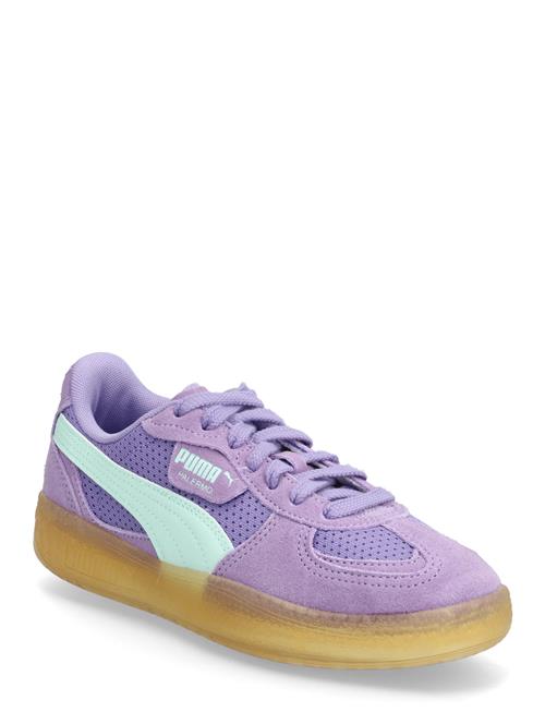 Palermo Moda Vintage Wns PUMA Purple