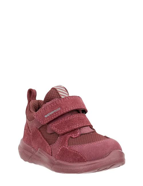 Biom 2.2 Infant ECCO Red