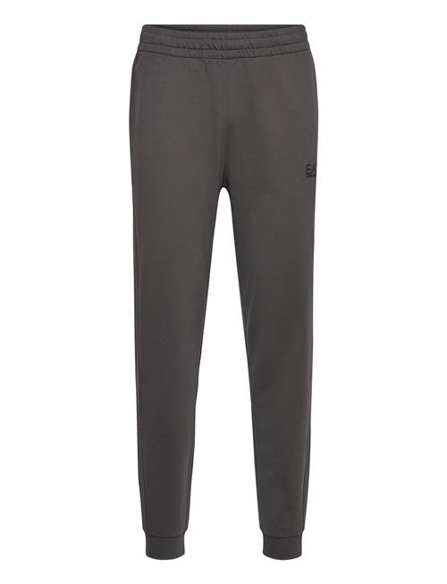 Trouser EA7 Grey