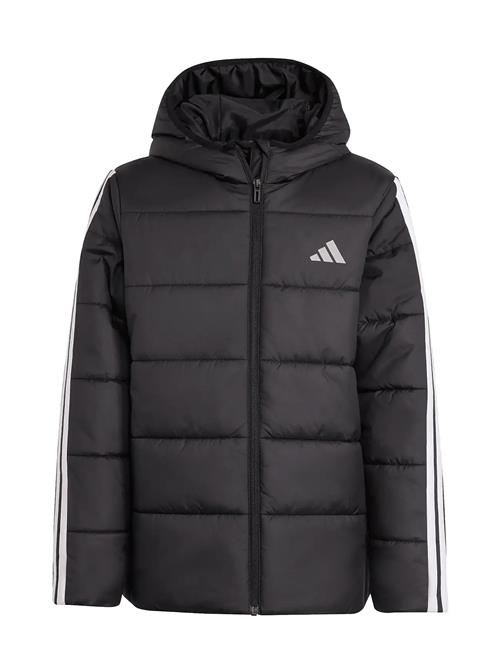 J Ess 3S Jkt Adidas Sportswear Black