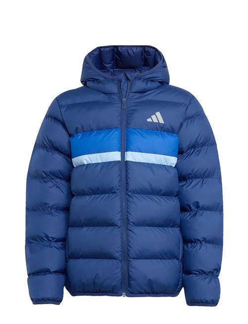 J Sd Jkt Adidas Sportswear Blue