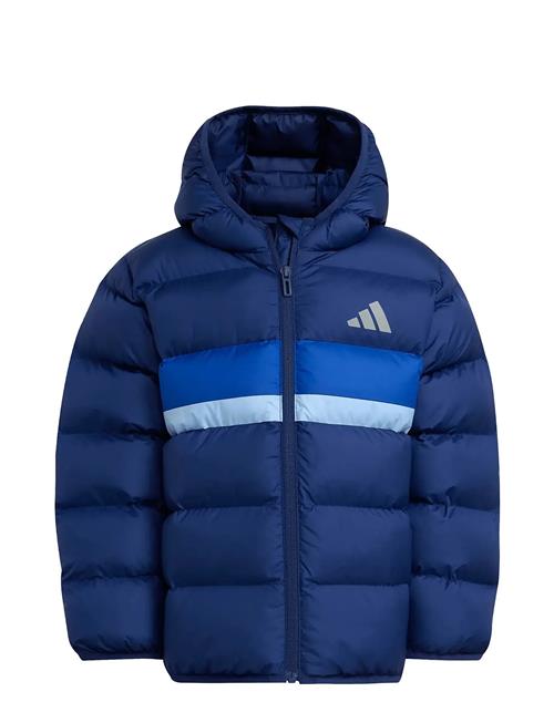 Lk Sd Jkt Adidas Sportswear Blue