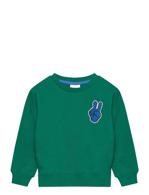 Tnstphineas Os Sweatshirt The New Green