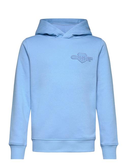 Tonal As Hoodie GANT Blue