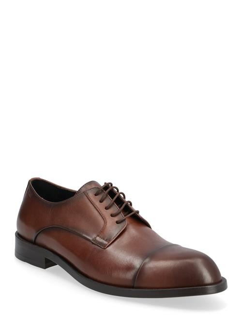 Tayil-L_Derb_Tcbufl BOSS Brown