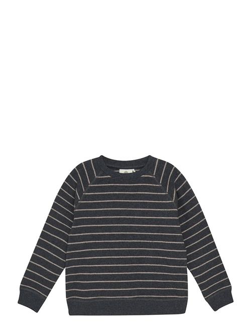 Sweatshirt Stripe En Fant Navy
