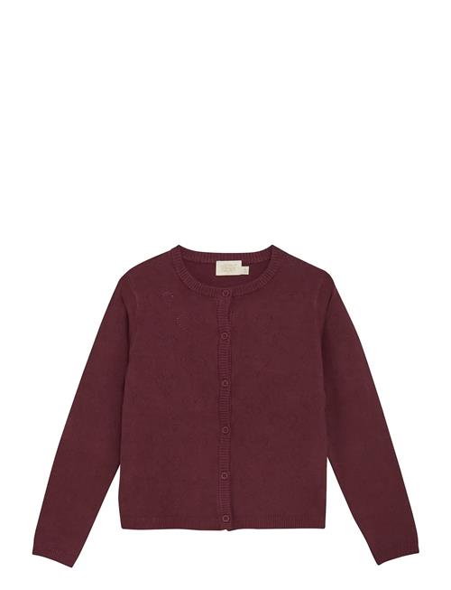 Cardigan Pointelle Creamie Red