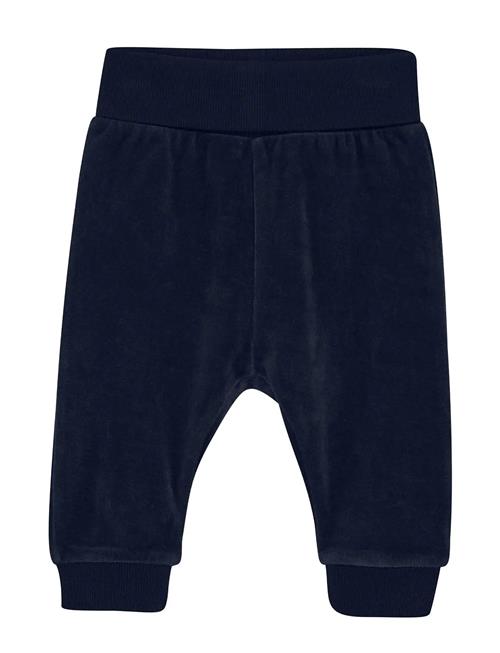 Pants Velour Fixoni Navy