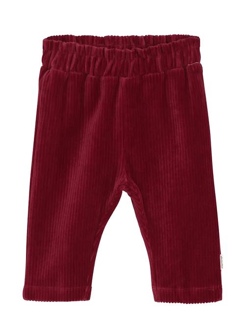 Pants Velour Minymo Red