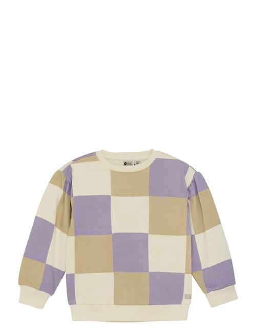 Sweater Check Daily 7 Patterned