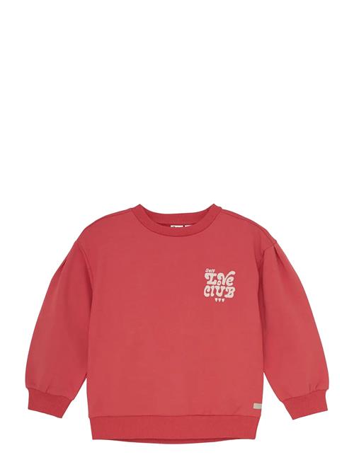 Sweater Brushed Print Daily 7 Red